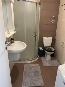 a bathroom with a shower and a sink and a toilet at bona loca in Smederevska Palanka