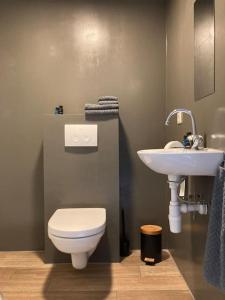 een badkamer met een toilet en een wastafel bij Mooi appartement in Werkplaats in Kampen