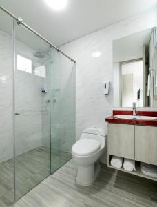 卡利的住宿－Piedra Luna，一间带卫生间和玻璃淋浴间的浴室