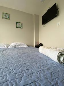 a bedroom with a large bed with a television on the wall at Hangar House in Belém