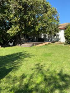 un patio con un árbol y una casa en Uva Dulce, en Tunca Arriba