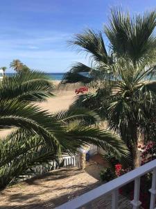 vistas a una playa con palmeras y al océano en Three bedroom house by the sea, en Agua Amarga