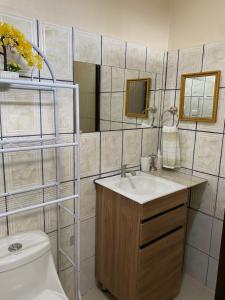 y baño con lavabo, aseo y espejo. en Blue Morpho House B&B, en Manuel Antonio