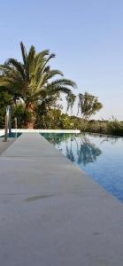 Bazén v ubytování villa Orchidee Sardegna nebo v jeho okolí
