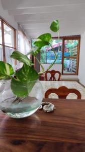 a plant in a glass bowl on a wooden table at Casa Sixta in Puerto Escondido