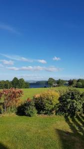 a field of grass with bushes and a blue sky at Cosy 2 Bedroom Croft Cottage with Beautiful Views in North Kessock