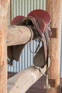 Φωτογραφία από το άλμπουμ του Riverlea Stables- style and charm await you! σε Apple Tree Flat