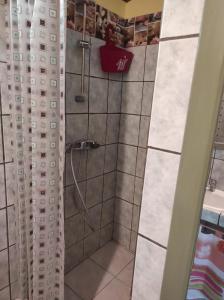 eine Dusche mit Duschvorhang im Bad in der Unterkunft Chez Axel in Le Marin