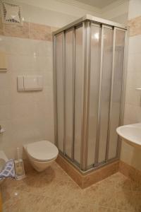 a bathroom with a shower and a toilet and a sink at Piz Alpin B&B in Colfosco