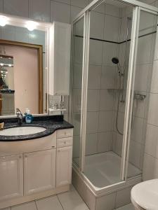 洛伊克巴德的住宿－洛伊克巴德別墅酒店，带淋浴、盥洗盆和卫生间的浴室