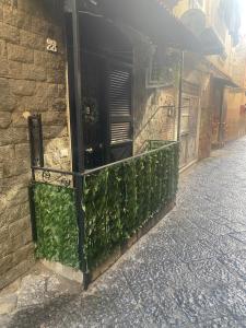 un edificio con edera verde sul lato di una strada di The Nest Of Via Toledo a Napoli