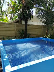 a blue swimming pool with a palm tree in the background at Casa début Surf Place in Parrita