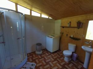 a bathroom with a shower and a toilet and a sink at Alquimia del Hualle in Melipeuco