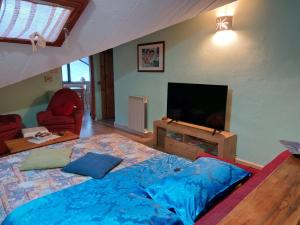 a living room with a bed and a flat screen tv at mansarda roulette in Saint Vincent