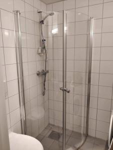 a shower with a glass door in a bathroom at Spacious and cozy study apartment with balcony in Oslo