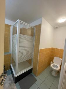 a bathroom with a shower and a toilet in it at Sofieflat - Wallifolie in Charleroi