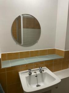 a bathroom with a sink and a mirror at Sofieflat - Wallifolie in Charleroi