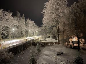 ein schneebedeckter Park mit Bäumen und eine Straße in der Nacht in der Unterkunft Hotel Schröder in Losheimergraben