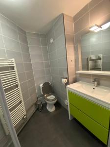 y baño con aseo, lavabo y espejo. en Appartement 5 Personnes au pied des pistes - WIFI -, en Chamrousse