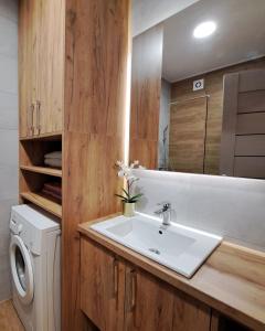ein Badezimmer mit einem Waschbecken und einer Waschmaschine in der Unterkunft Apartman 49 in Subotica