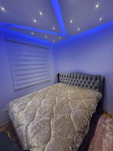 een slaapkamer met een bed met een blauw plafond bij Apartman VUČKO in Pale