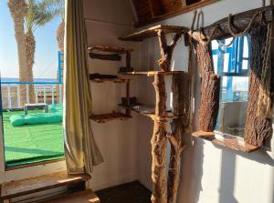 Dream house في دهب: غرفة بها رفوف خشبية ونافذة
