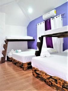 two bunk beds in a room with purple walls at HOSPEDAJE VILLAMAR in Nueva Gorgona