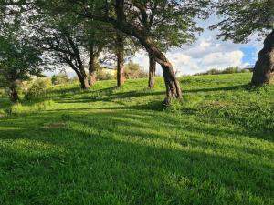Cabañas Tela في لونكيماي: حقل عشبي مع الأشجار في المسافة