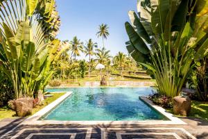 a swimming pool in a yard with palm trees at Hati Padi Cottages in Ubud