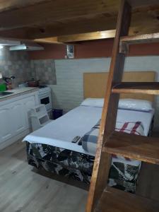 瑪斯德阿霍的住宿－El buen descanso，一间卧室配有一张双层床和梯子