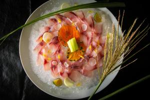 a plate with a fruit salad on top of snow at Nagahigawa in Miyazaki