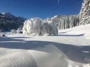 Fewo 1 am Auweg v zime