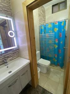 安曼的住宿－Aqua Blue Villa-Dead Sea, Jordan，浴室配有卫生间、盥洗盆和淋浴。