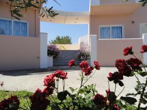 A garden outside Pardalakis Studios