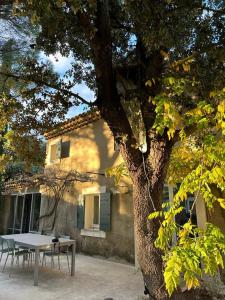 einen Tisch und einen Baum vor einem Haus in der Unterkunft Maison Les Chênes in Eygalières