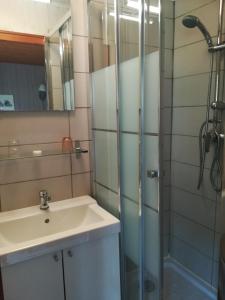 a bathroom with a sink and a shower at Hôtel du Lac des Confins in La Clusaz