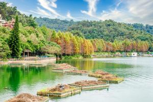 a lake with a bunch of plants in the water at Sun Moon Lake I Love You in Yuchi