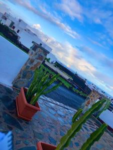 una planta en una olla sentada junto a un puente en Mar y Montaña Apartamento entero, en La Costa