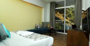 Μια τηλεόραση ή/και κέντρο ψυχαγωγίας στο Wood Creek Resort & Spa Kasauli