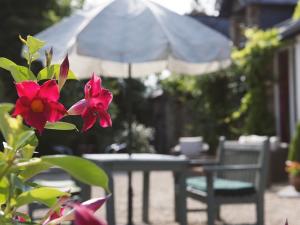 une table et des chaises et une fleur rouge avec un parapluie dans l'établissement Chambres d'Hotes - La Marmoire, à Soudan 12 autres photos