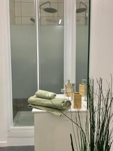 Kúpeľňa v ubytovaní Florimond cosy apparts + 37 fotografií