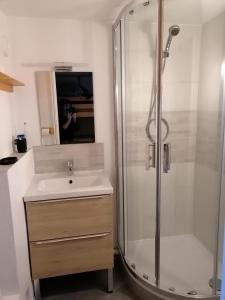 a bathroom with a shower and a sink and a mirror at Studio Montagne à la Pierre St Martin in Arette