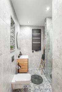 uma casa de banho com um WC, um lavatório e um chuveiro em Dusznickie Apartamenty z widokiem em Duszniki Zdrój