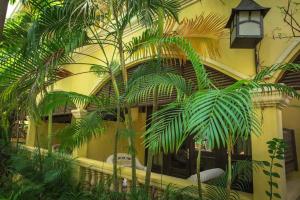 Zahrada ubytování Marirath Boutique Hotel