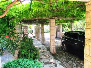 Zahrada ubytování Casa Bellavista