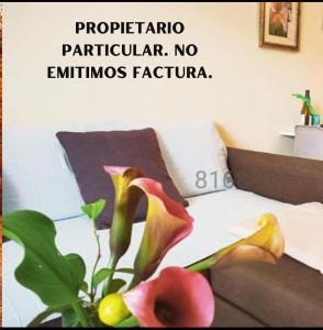 een boek over een woonkamer met een bank en een plant bij A&L Playa in Viveiro