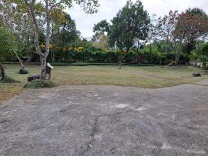 ein großes Feld mit einem Park mit einem Baum in der Unterkunft Green Forest Homestay in Nung-hui-ti