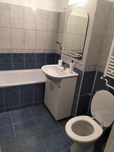 ein Badezimmer mit einem WC, einem Waschbecken und einem Spiegel in der Unterkunft Garsoniera Sanmartin in Sînmartin