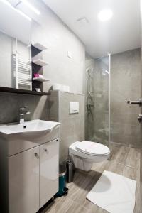 uma casa de banho com um WC, um lavatório e um chuveiro em Hotel Royal em Senta