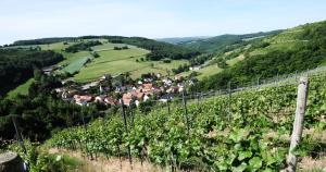 Blick auf Weingut Hees - Landgasthof Zum Jäger aus Kurpfalz aus der Vogelperspektive